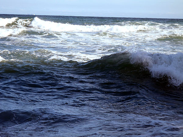 荒々しい波の海